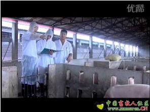 應(yīng)聘廣州市博善生物飼料有限公司 生物飼料研發(fā)之路