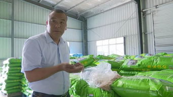 十三條倔強的背影 700余天反復試驗，鋪就蝦農綠色健康養殖路