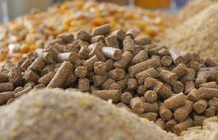 生物飼料中低檔產品市場競爭激烈